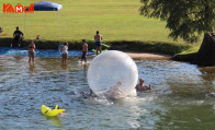 zorb ball seattle very popular 2022